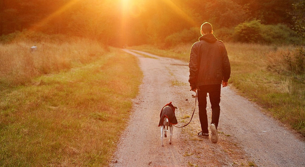 Hiking Tips by Emily Cook