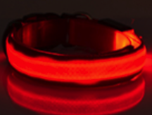 Red LED Collar