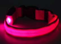 Pink LED Collar