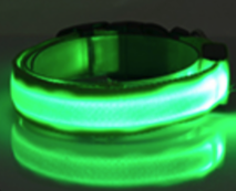 Green LED Collar