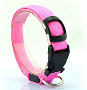 Cat LED Collar