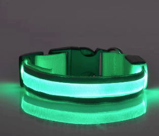 Green LED Collar
